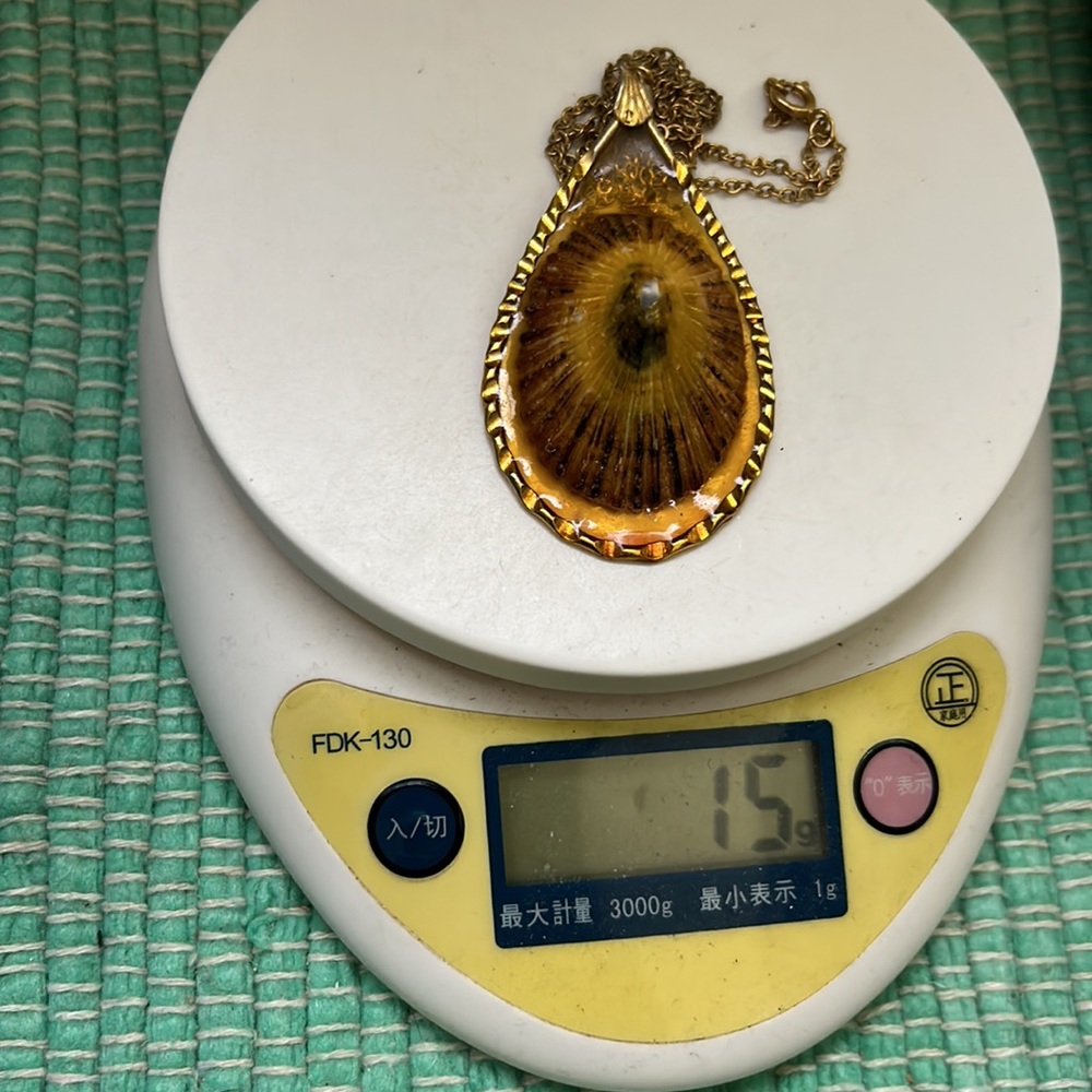 🖤Vtg Hawaiian Opihi shell pendant necklace - Picture 12 of 13